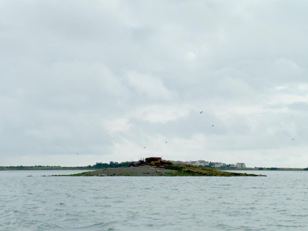 Click now to see this image full size.