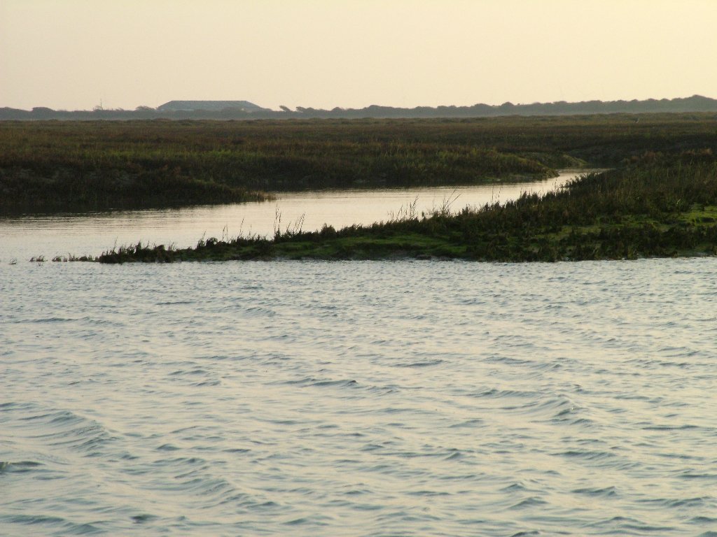 Click now to see this image full size.