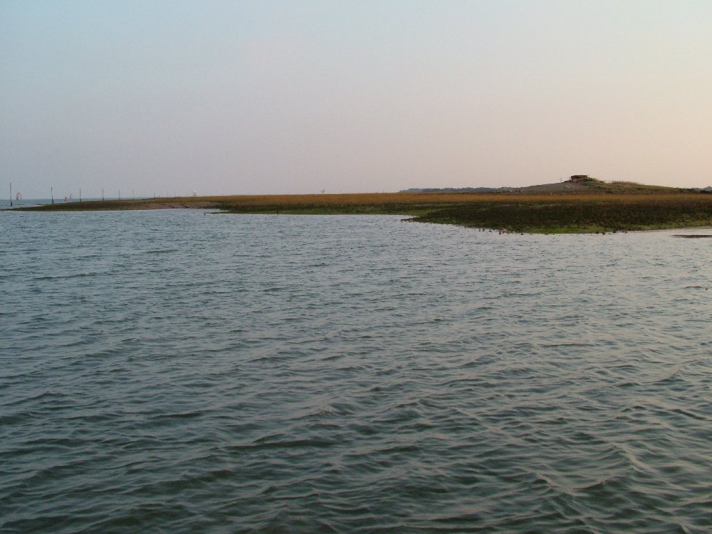 Click now to see this image full size.