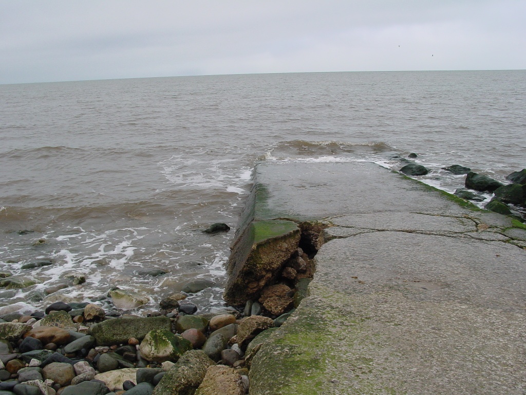 Click now to see this image full size.