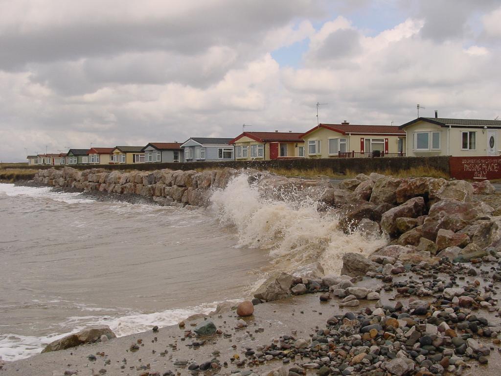 Click now to see this image full size.