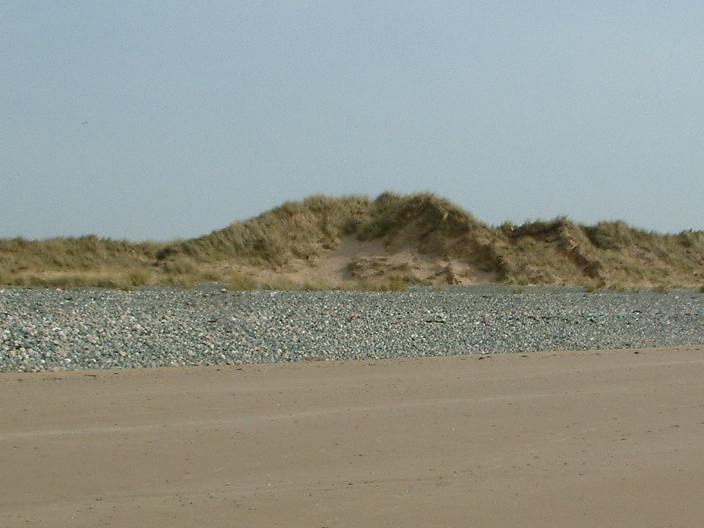 Click now to see this image full size.