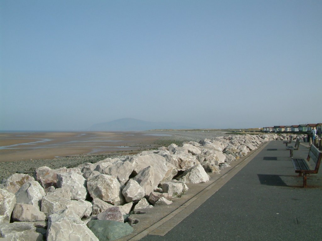 Click now to see this image full size.