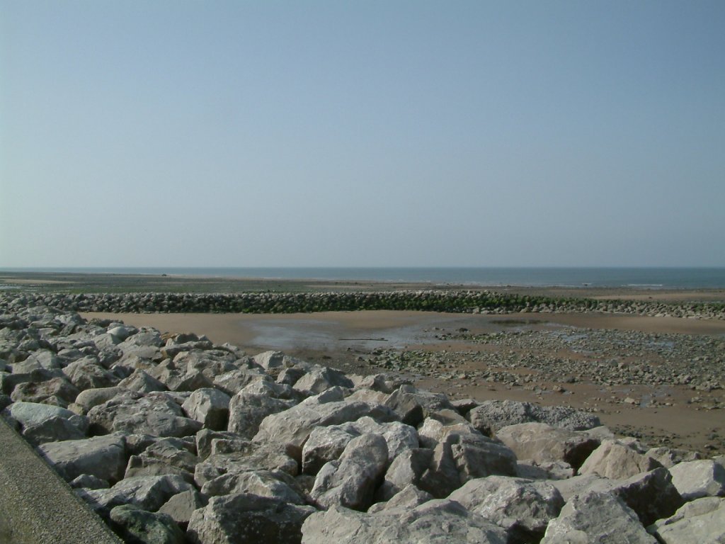 Click now to see this image full size.