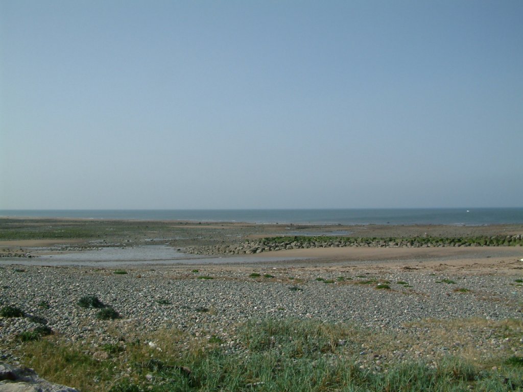 Click now to see this image full size.