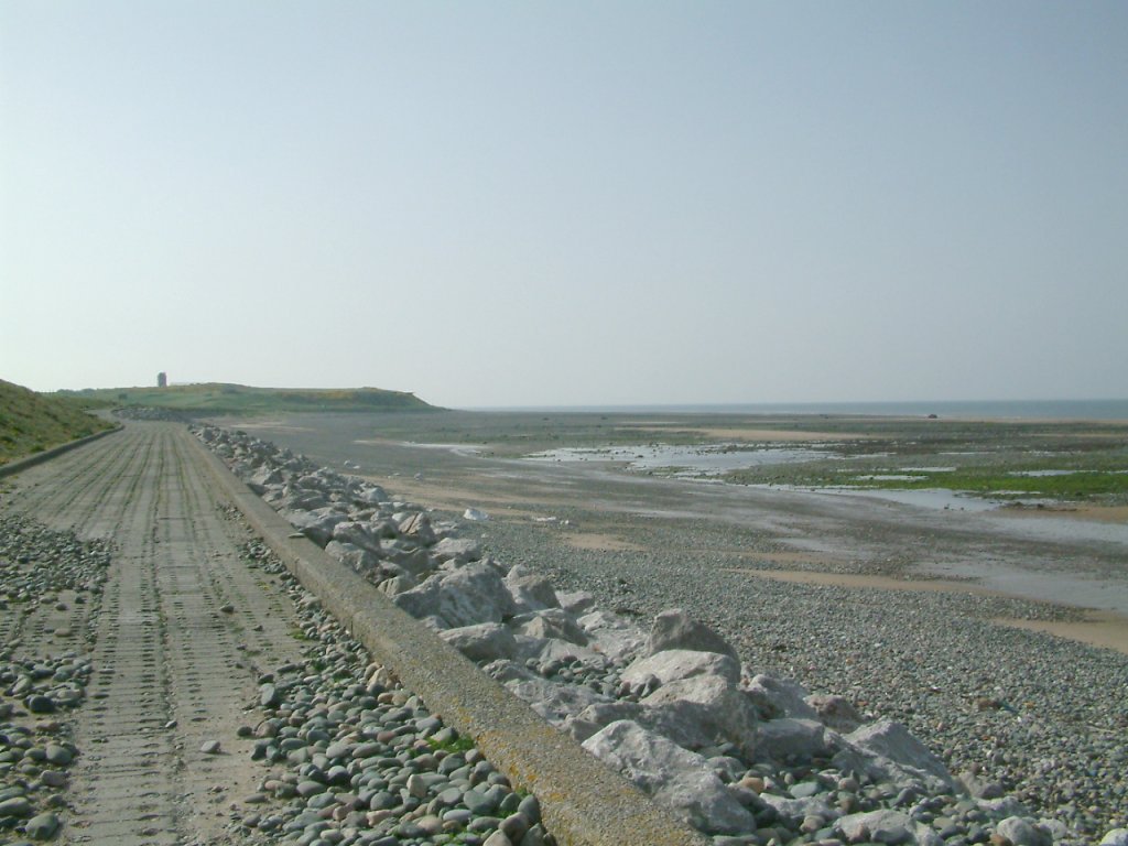 Click now to see this image full size.