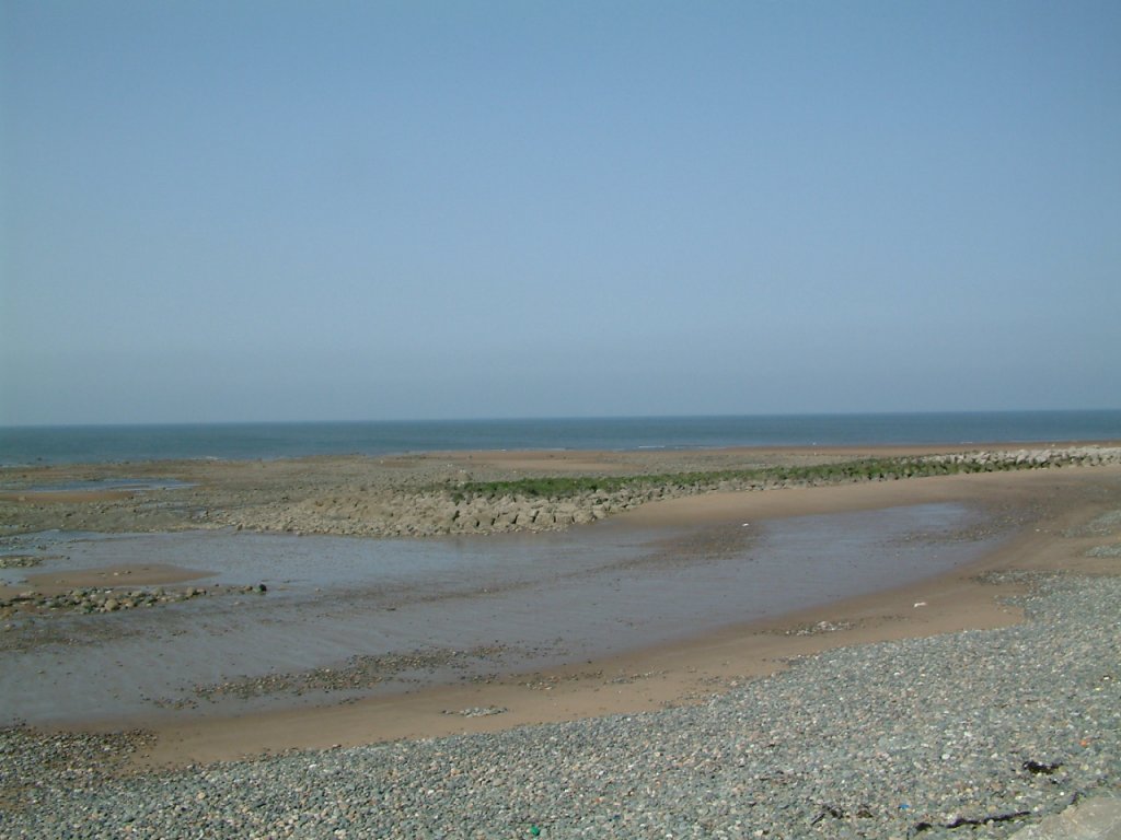 Click now to see this image full size.