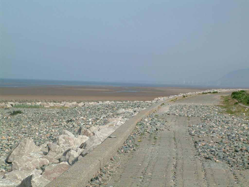 Click now to see this image full size.