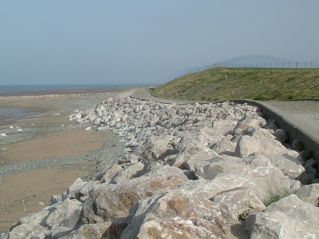 Click now to see this image full size.