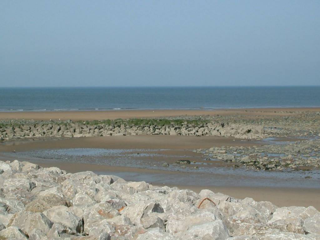 Click now to see this image full size.