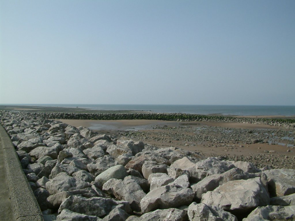 Click now to see this image full size.