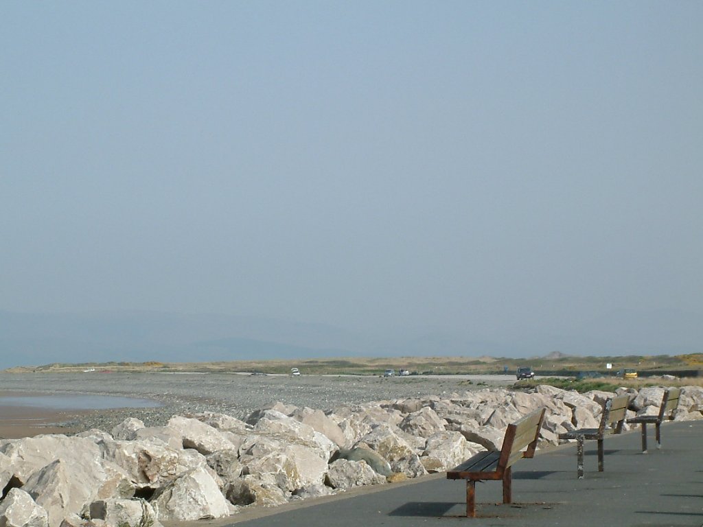 Click now to see this image full size.