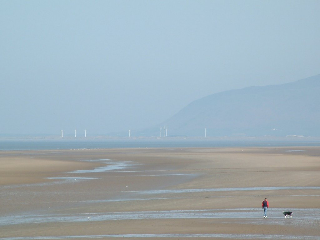 Click now to see this image full size.