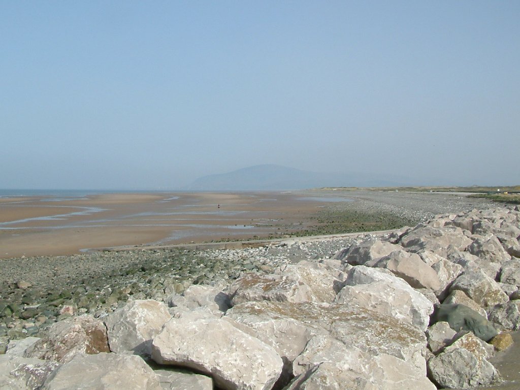 Click now to see this image full size.