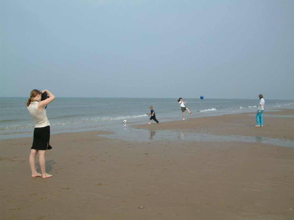 Click now to see this image full size.