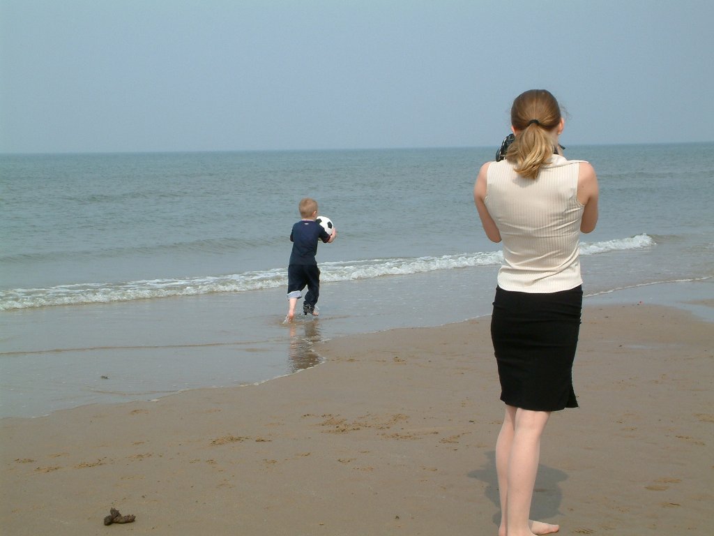 Click now to see this image full size.