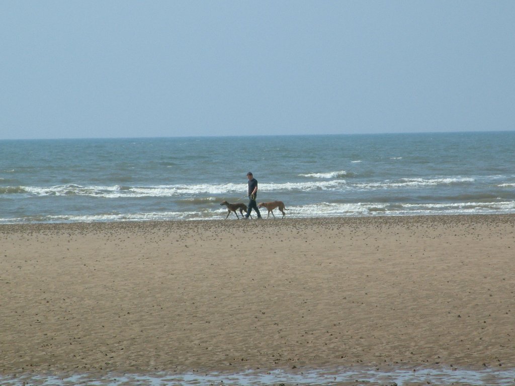 Click now to see this image full size.