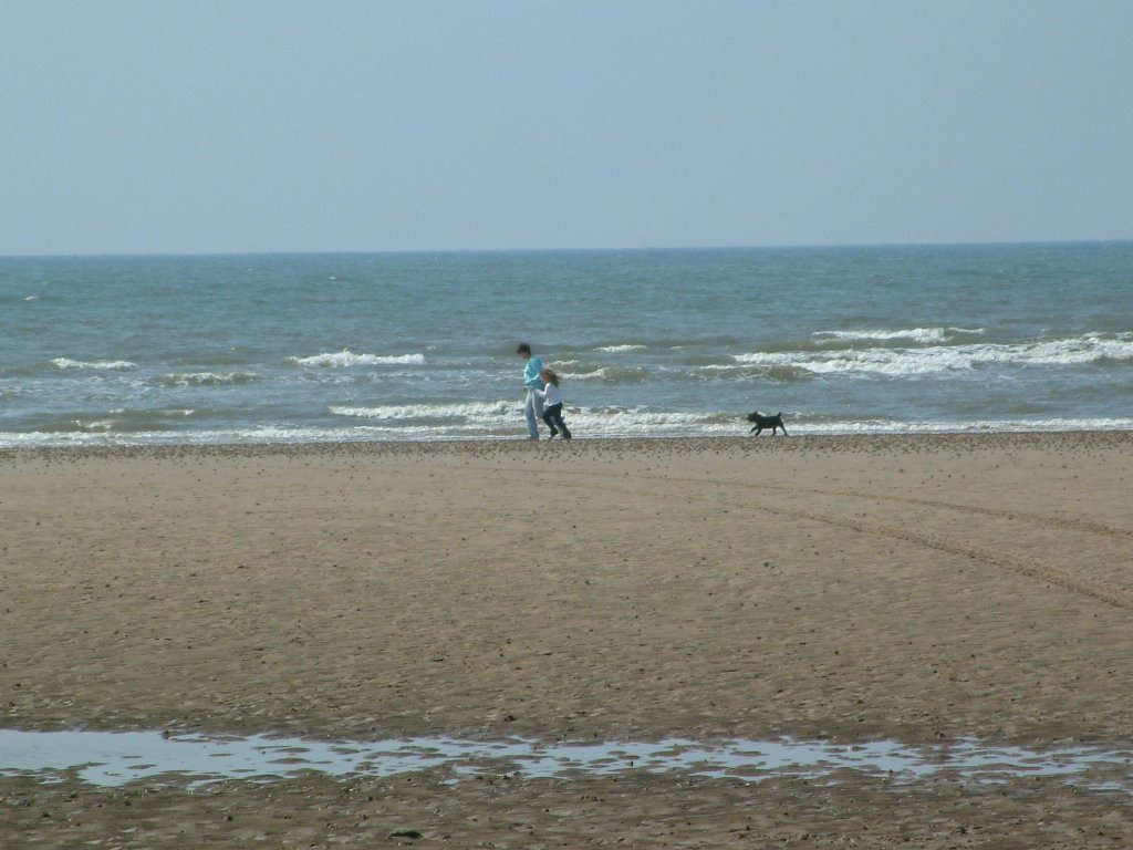 Click now to see this image full size.