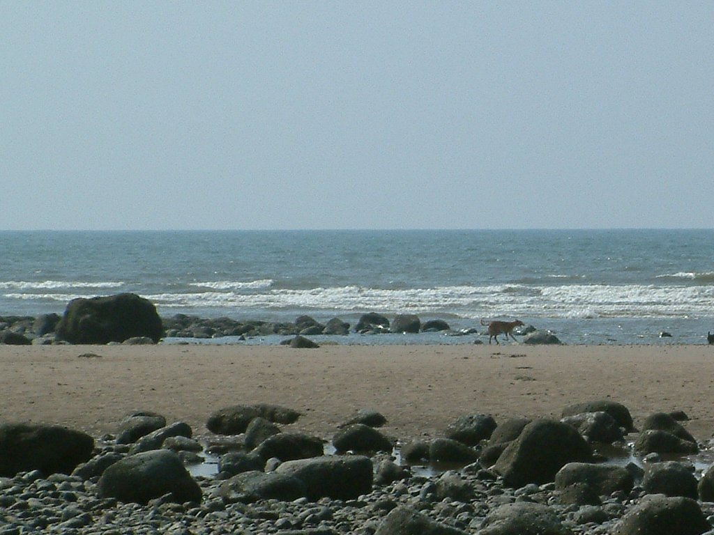 Click now to see this image full size.