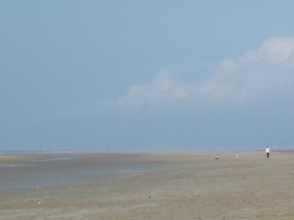 Click now to see this image full size.