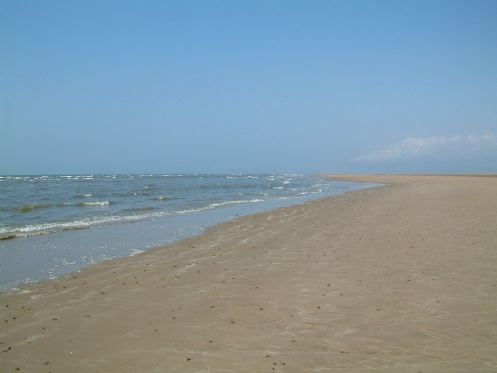 Click now to see this image full size.