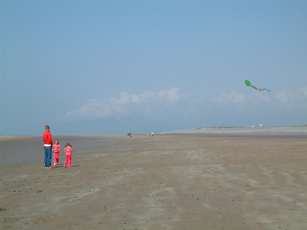 Click now to see this image full size.