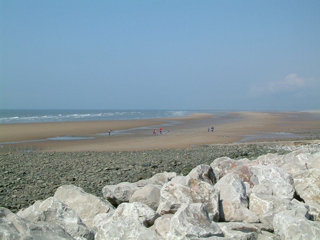 Click now to see this image full size.