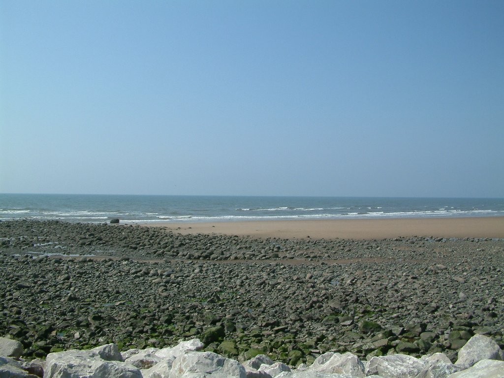 Click now to see this image full size.