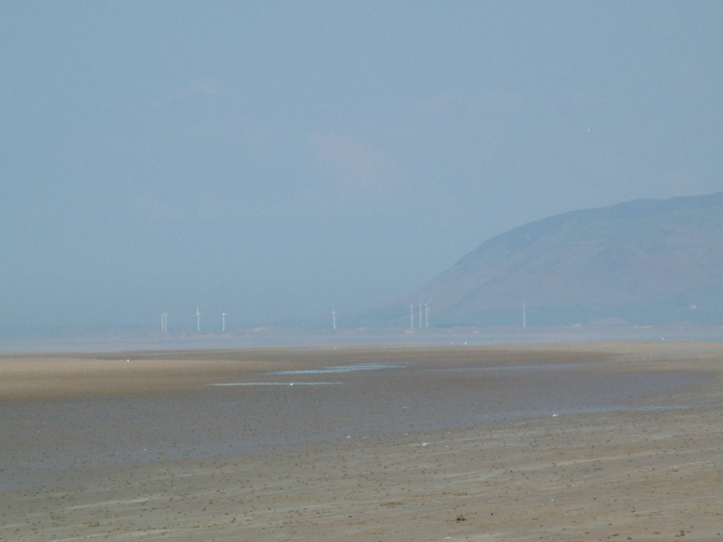 Click now to see this image full size.