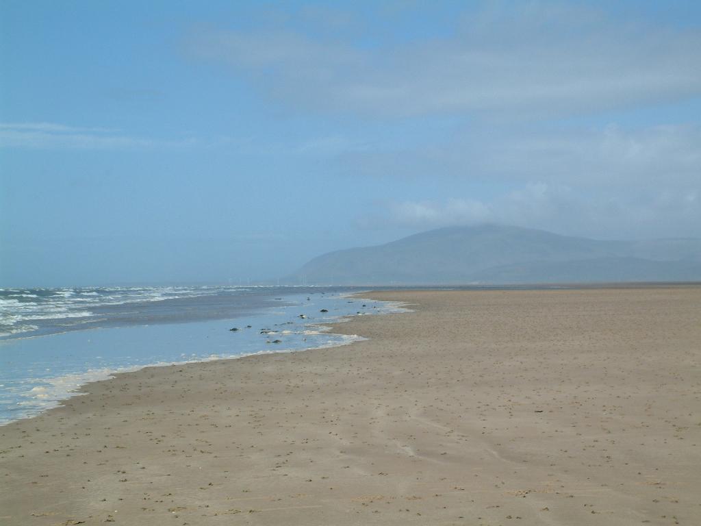 Click now to see this image full size.