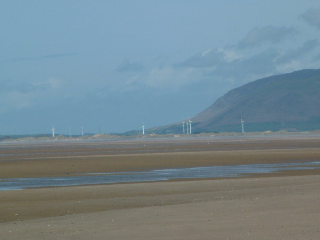 Click now to see this image full size.