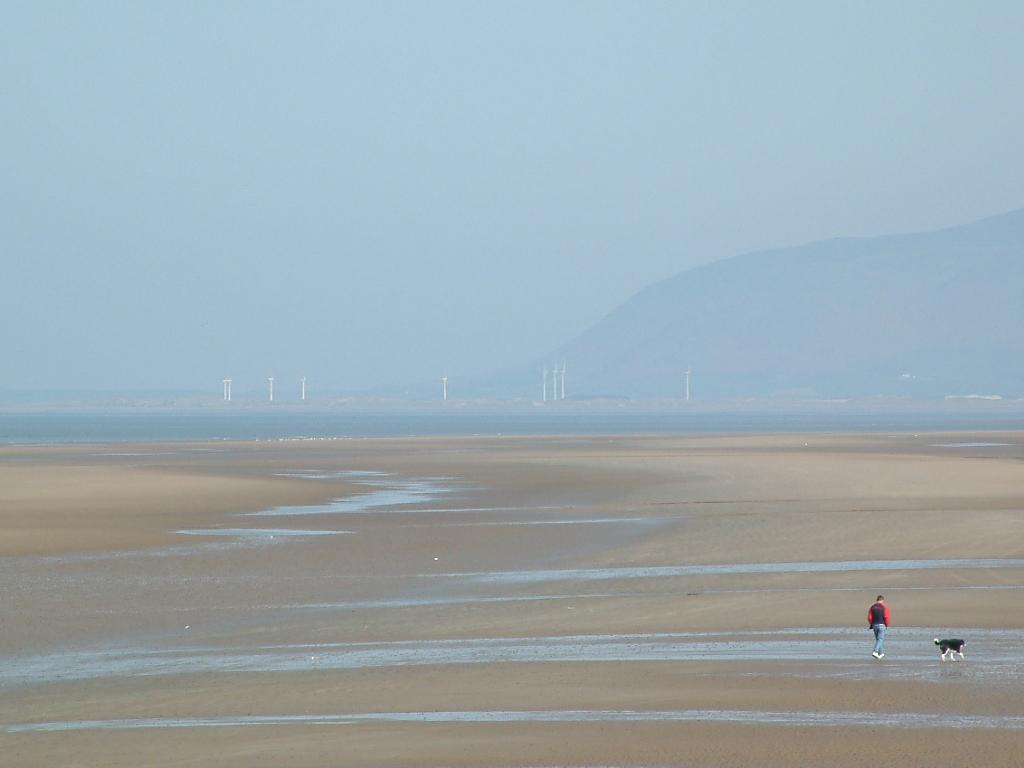 Click now to see this image full size.