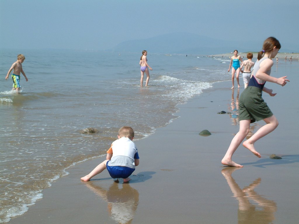 Click now to see this image full size.