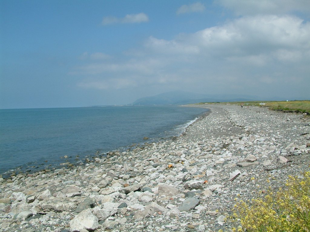 Click now to see this image full size.