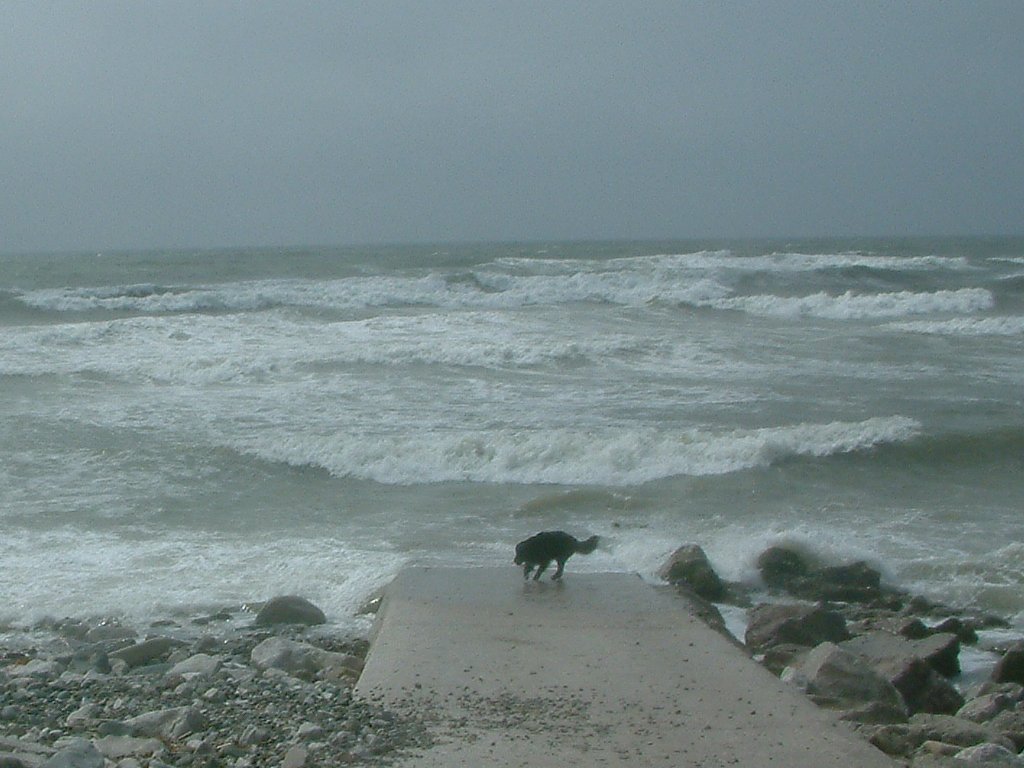 Click now to see this image full size.