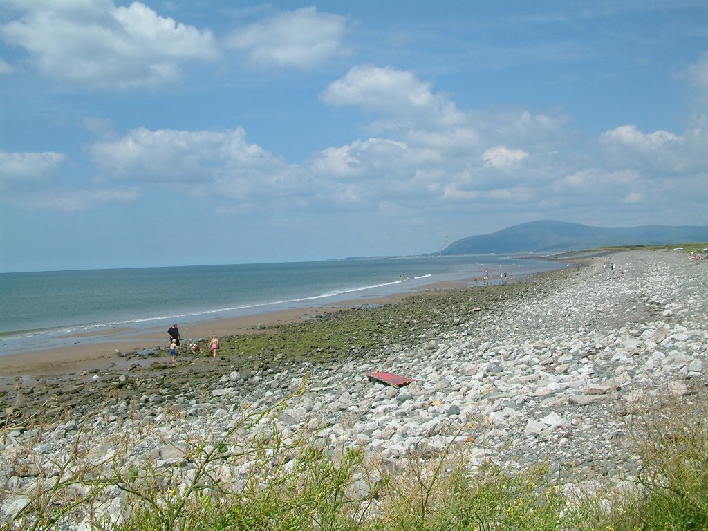 Click now to see this image full size.