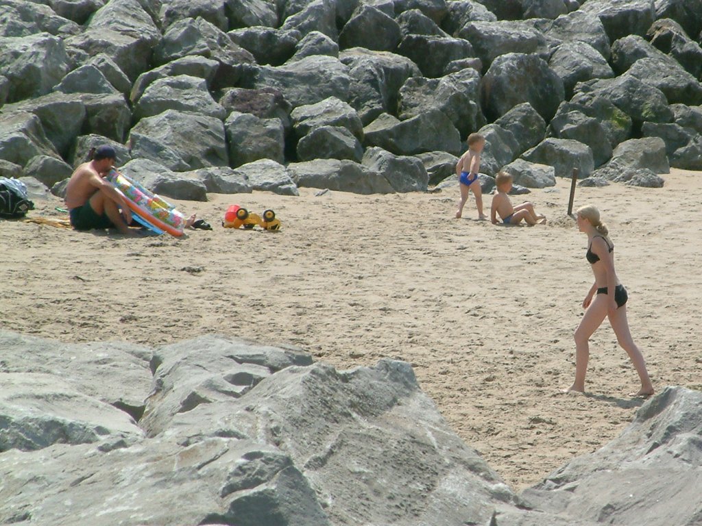 Click now to see this image full size.