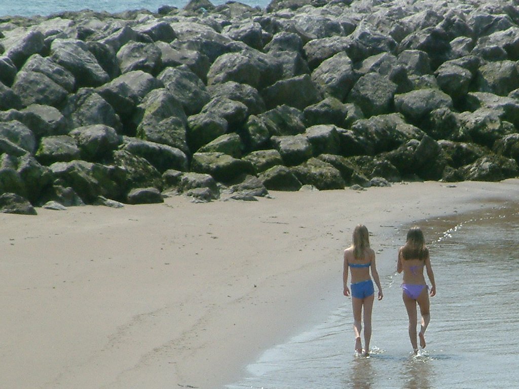 Click now to see this image full size.