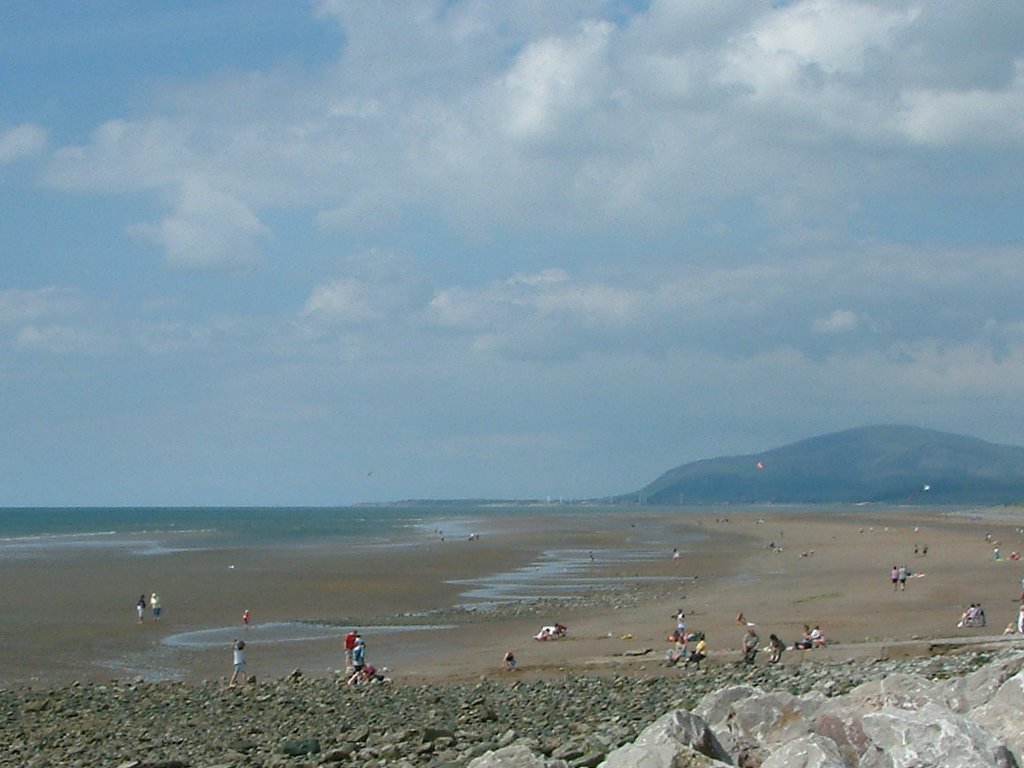 Click now to see this image full size.