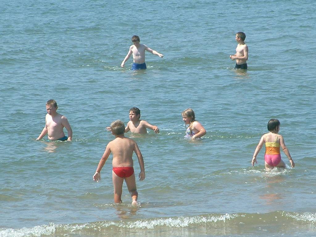 Click now to see this image full size.