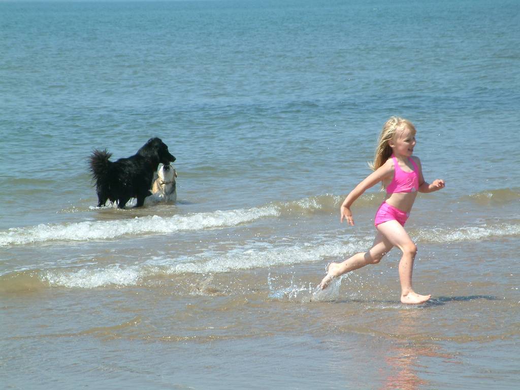 Click now to see this image full size.