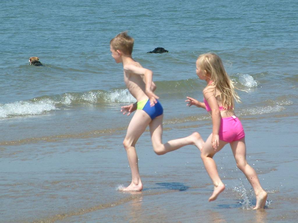 Click now to see this image full size.