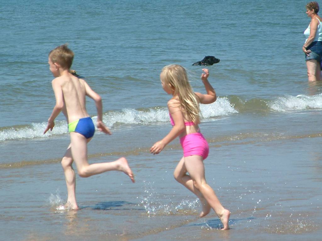 Click now to see this image full size.