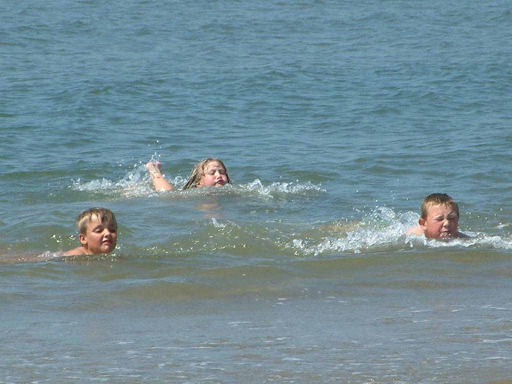 Click now to see this image full size.