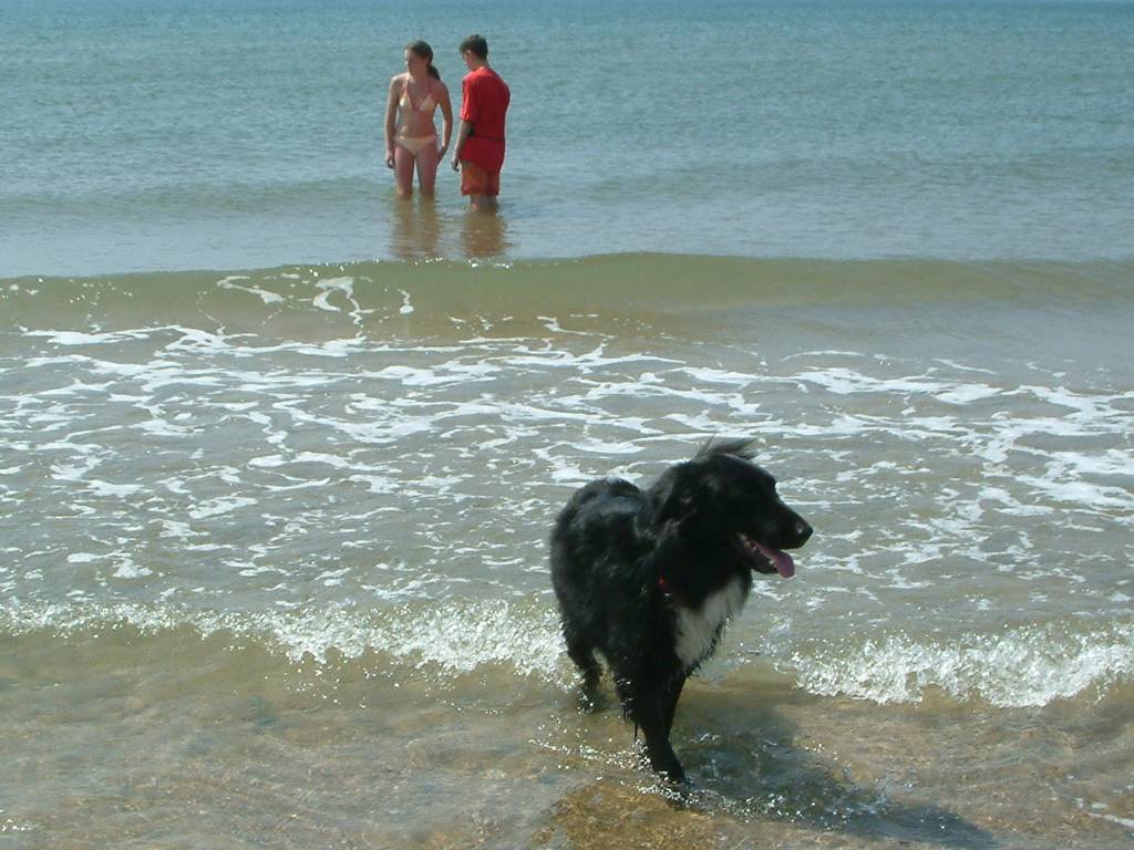 Click now to see this image full size.