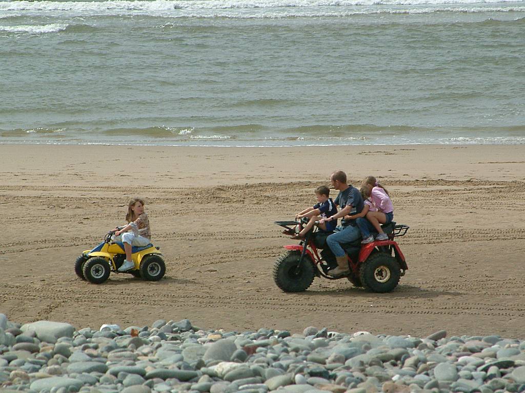 Click now to see this image full size.