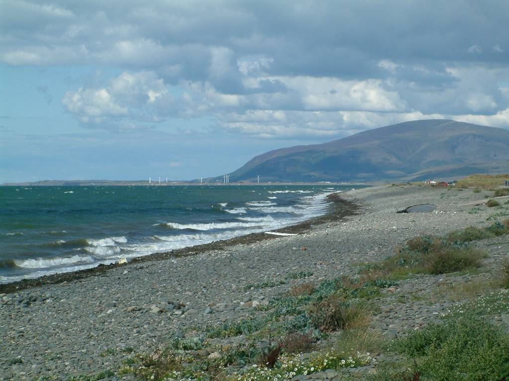 Click now to see this image full size.