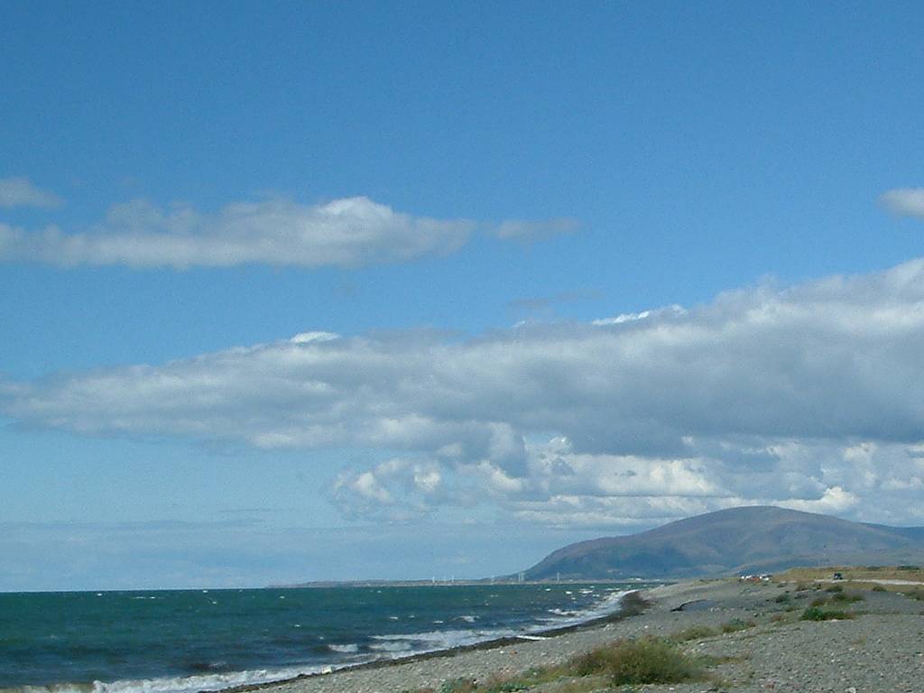 Click now to see this image full size.