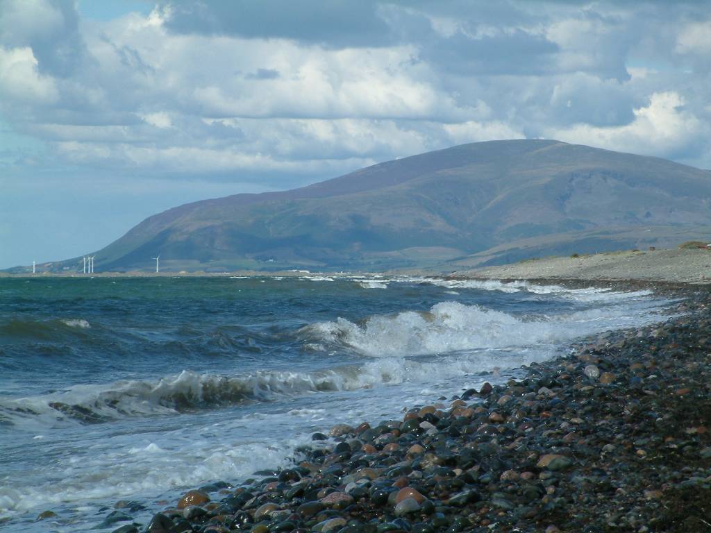 Click now to see this image full size.