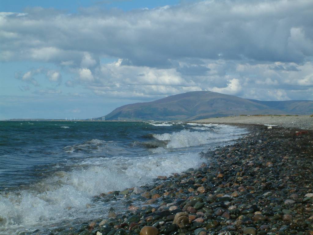 Click now to see this image full size.